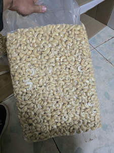 เม็ดมะม่วงหิมพานต์เวียดนามคุณภาพพรีเมียม เกรด WW180 WW210 WW240 WW320 บรรจุภัณฑ์แบบถุงสุญญากาศ/กระป๋อง สำหรับขายส่ง ผลผลิตใหม่ - Product Image 5