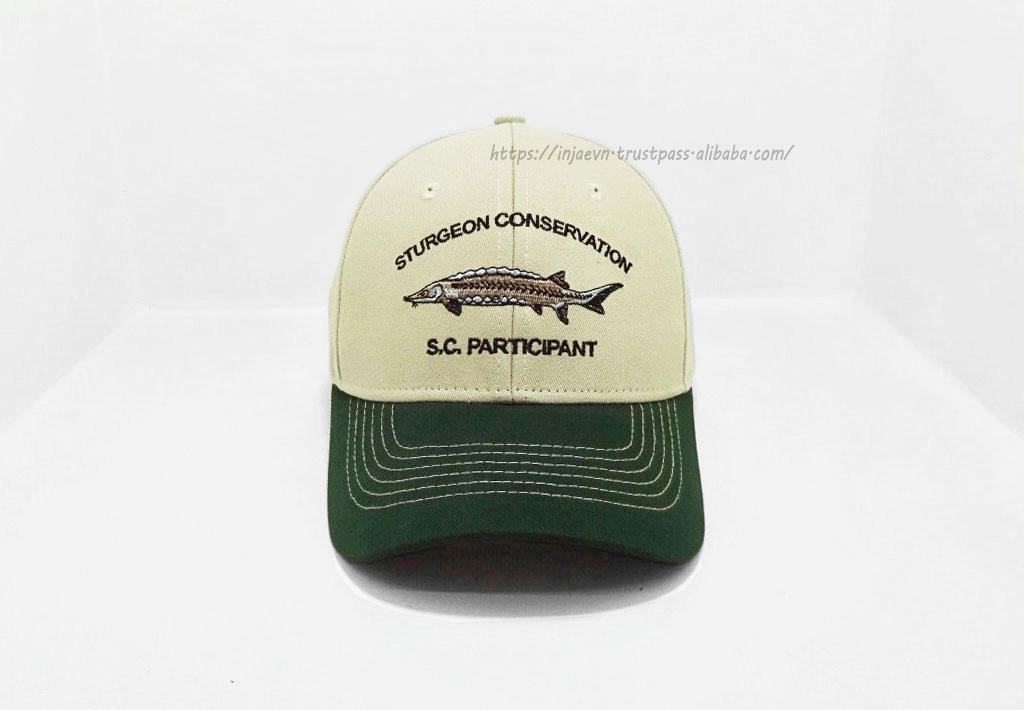 Couleur personnalisée