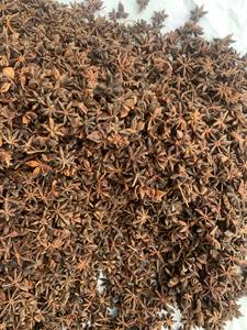 โป๊ยกั๊กสมุนไพรเดี่ยวและเครื่องเทศแปรรูป10กก. ได้รับการรับรอง2025โฆษณาพืชแห้งจากเวียดนาม - Product Image 6