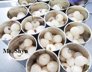 PRESERVED TROPICAL FRUIT CANNED LITCHI - HALAL CERTIFIED OEM BRAND FRESH LYCHEE IN <b>LIGHT</b> SYRUP - Product Image 3