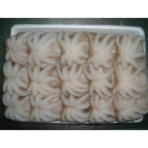 ปลาหมึกแช่แข็งคุณภาพสูงขนาดใหญ่ ราคาสุดคุ้ม - Product Image 3
