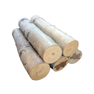 ซัพพลายเออร์ขายส่งของท่อนไม้เบิร์ชระดับพรีเมียมพร้อมการจัดส่งที่รวดเร็ว - Product Image 3