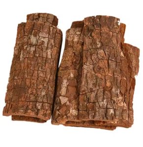 Écorce d'arbre populaire du Vietnam de haute qualité d'usine en gros de haute qualité du Vietnam - Product Image 4