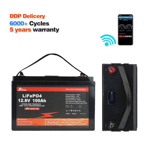 Deep Cycle 12V 24V 48V 100ah 150ah 200ah 300ah 400ah Solar LiFePO4 Lithium Energy Box Storage Battery Pack System