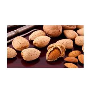 Almendras frescas de primera selección, rico sabor y alto valor nutricional, ideales para compradores al por mayor y negocios de exportación. - Product Image 6