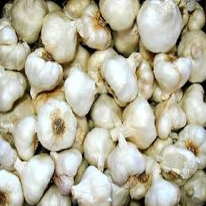 Wholesale China <b>Fresh</b> <b>Garlic</b> Pure White <b>Garlic</b> Ajo Alho <b>Garlic</b> - Product Image 2