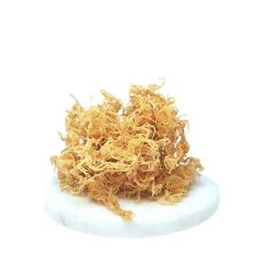 Musgo marino orgánico a granel: ideal para dietas veganas, cetogénicas y desintoxicantes, ¡los precios al por mayor más bajos! - Product Image 2