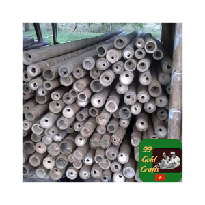 Poste de bambú natural de alta calidad de Vietnam para proyectos, poste de bambú tratado para construcción, andamios y soporte agrícola - Product Image 3