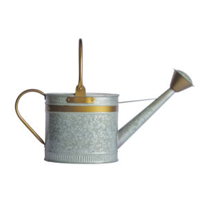 Pot verseur d'eau à bande dorée vintage en métal galvanisé bec amovible arrosoir durable de jardin pour l'alimentation de la verdure à la maison - Product Image 2