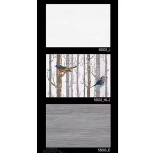 Carreaux de mur en céramique d'impression de fleur blanche d'intérieur 300x450mm 12x18 finition polie brillante vitrée par Digital 30x45 - Product Image 2