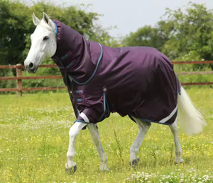 Cao cấp tùy chỉnh mùa đông cưỡi ngựa thảm với vải nylon và bông điền từ nhà cung cấp trực tiếp - Product Image 5