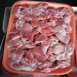 Mollejas de pollo congeladas al por mayor calidad premium, frescas y tiernas, perfectas para restaurantes, cocineros caseros, entrega rápida - Product Image 6