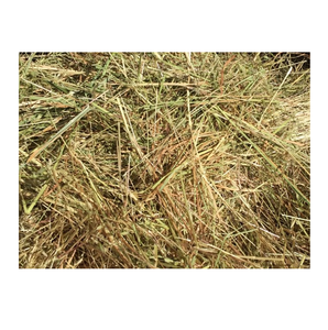 Heno de pasto fresco para caballos, ganado vacuno y ovejas - Product Image 1