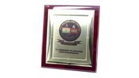 Trophée d'entreprise de haute qualité, plaque en métal doré 13x15 pouces, impression UV gravée, style sportif portable, finition de luxe