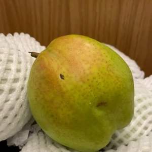 Pêres fraîches parfumées - Qualité supérieure 180g-250g - Douces et juteuses - Approvisionnement en vrac avec une durée de conservation de 21 à 30 jours - Product Image 4