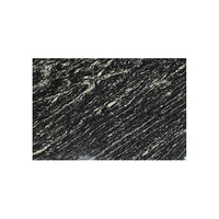 Nouveauté : Carreaux de granit naturel attrayants, granit noir disponible à prix abordable
