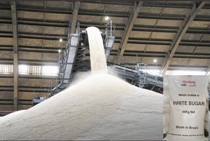 Icumsa-caña de azúcar blanca refinada, 45 - Product Image 6