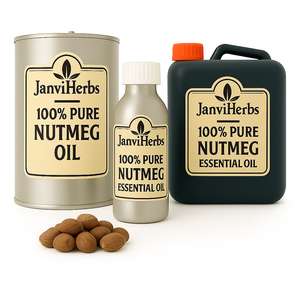 Aceite esencial de nuez moscada de grado terapéutico puro y natural 100%, masaje de aromaterapia para cosméticos de suministro a granel, apariencia líquida - Product Image 1