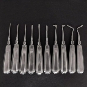 Vente en gros Ensemble d'ascenseurs dentaires de 10 instruments chirurgicaux en acier inoxydable pour l'extraction de dents atraumatiques - Product Image 1