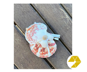 Seashell hair clip handmade summer seashell hair clip with crab claw ocean design perfect <b>beach</b> <b>gift</b> for girls coastal fashion - Product Image 4