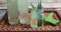 Gelée d'Aloe Vera Douceur et Arôme Naturel Une Option Rafraîchissante Pour Un Usage Quotidien Aimée Pour Son Effet Rafraîchissant