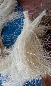 Núcleo de ratán natural de suministro de fabricante de grado A Núcleo de ratán natural redondo - Product Image 4