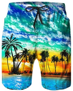 Shorts pour hommes de haute qualité, tendance, à séchage rapide, en toile, avec cordon de serrage, taille mi-haute, respirants, écologiques, décontractés, pour la plage - Product Image 1