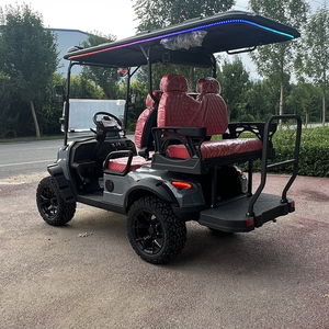 Carrito de golf de alto rendimiento para 2, 4 o 6 personas con alta fiabilidad - Product Image 5