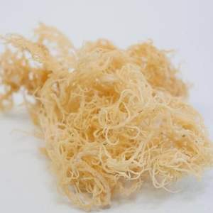 OPCIONES DE EMBALAJE OEM DE ALGAS PURO EUCHEMA COTTONII PARA ETIQUETA PRIVADA - Product Image 4