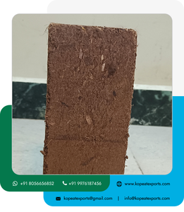 Vente en gros de 650g de briquettes de coco tamponnées pour pépinières de semis emballage palettisé briquettes Cocopeat 650gm - Product Image 4