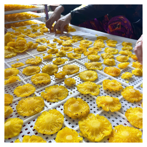 Ananas séché du Vietnam avec une couleur vive, tranché uniformément, douceur douce, emballé pour les magasins de détail et les commandes internationales - Product Image 5