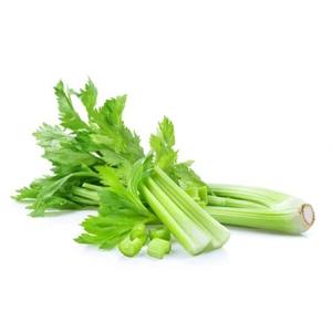 Poudre d'extrait de céleri Ingrédient naturel de céleri pour les aliments fonctionnels et les compléments alimentaires Fournisseur en gros OEM - Product Image 4