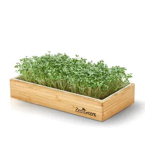 Hydroponics Kitchen Garden Hydroponic Indoor Garden Natural Wooden Growing Smart Garden Microgreen Tray For Plants Indoor