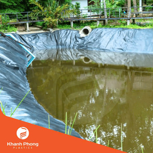 Géomembrane HDPE de qualité pour les bassins paysagers, créant un environnement stable pour la culture des poissons et des lotus - Product Image 2