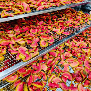 ฝรั่งแห้งแบบนิ่ม | 100% ผลไม้ออร์แกนิกสด | ของว่างและชาเพื่อสุขภาพจากเวียดนาม - Product Image 1