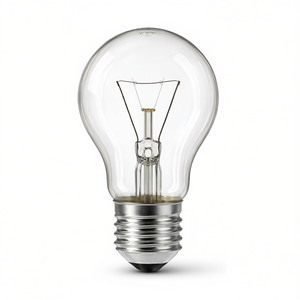 Bombillas Incandescentes STANDARD CLARA 100W 12V - Product Image 2
