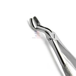 Alicates dentales quirúrgicos para molares, fórceps de extracción de acero inoxidable, fórceps de extracción de dientes - Product Image 4