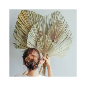 Abanico de bambú de mano en forma de hoja de Vietnam hoja de palma hecho a mano recuerdo de fiesta de boda regalo estilo ventilador decorativo Natural - Product Image 1