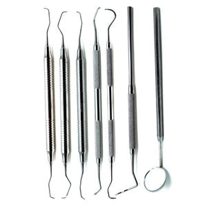 Bandeja de Profilaxis Dental Set de Instrumentos Premium de Acero Inoxidable de 7 Unidades - Product Image 3