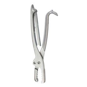Fórceps quirúrgicos ortopédicos de alto grado Dall Finish Fórceps de sujeción de hueso de acero inoxidable - Product Image 2