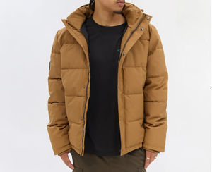 Veste d'hiver pour homme, doudoune épaisse à capuche, imperméable, coupe-vent, isolée, vêtement chaud tendance - Product Image 1