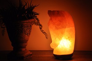 Lampes en forme de cheval de sel de l'Himalaya dans des tailles personnalisées, lampes à sel du Pakistan, lampes à sel de l'Himalaya pour la décoration intérieure - Product Image 4