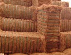 Fibre de coco crue de haute qualité Utilisation agricole écologique Vietnam - Product Image 6