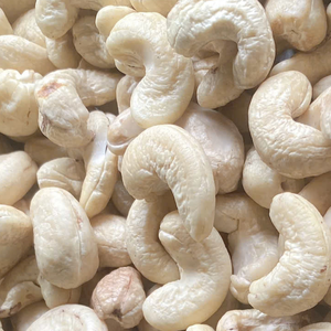 Offre Spéciale 2023 Noix de cajou brutes WW180, WW240, WW320 Prix des noix de cajou SANTIGO au Vietnam Noix de cajou Reday à expédier - Product Image 1