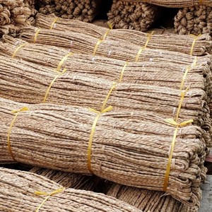VIETNAM EXPORTA CUERDAS HICOBICOS SECAS DE BUENA CALIDAD HECHAS DE NATURAL CON PRECIOS QUE APOYAN A IMPORTADORES - Product Image 1
