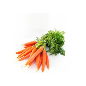 Zanahorias crujientes y limpias envasadas a granel para mercados internacionales - Product Image 1