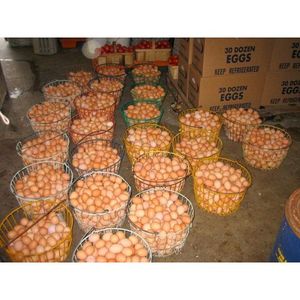Œufs de poule frais de qualité supérieure, 30 douzaines, réfrigérés, vente en gros, longue durée de conservation, marque OEM - Product Image 1