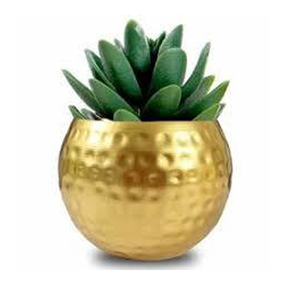 Bombay Greens, maceta ecológica de Metal dorado para interiores y exteriores, diseño elegante para decoración del hogar, sala de estar, escritorio de oficina - Product Image 1