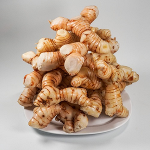 RACINE DE GALANGAL FRAIS DE HAUTE QUALITÉ/ESSENTIEL POUR UNE CUISINE AUTHENTIQUE/PRIX ABORDABLES/FABRIQUÉ AU VIETNAM - Product Image 1