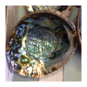 Inspiration décorative côtière avec pierre précieuse polie en coquille d'ormeau naturel du Vietnam pour la fabrication de bijoux et l'artisanat - Product Image 3